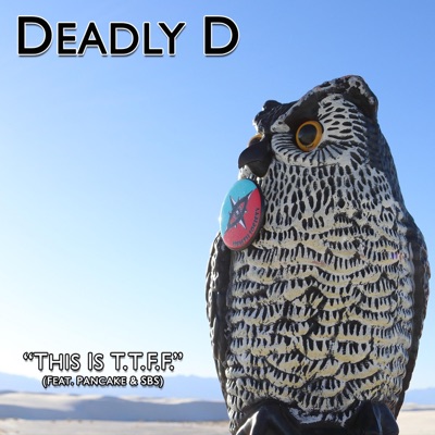 This Is T.T.F.F. (feat. Pancake & SBS) - Single