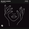Mr Belt & Wezol - Homeless (Extended Mix) artwork