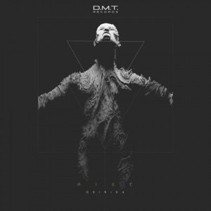 Rise - Single