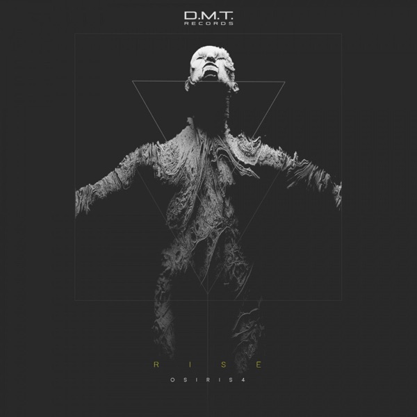 Rise - Single