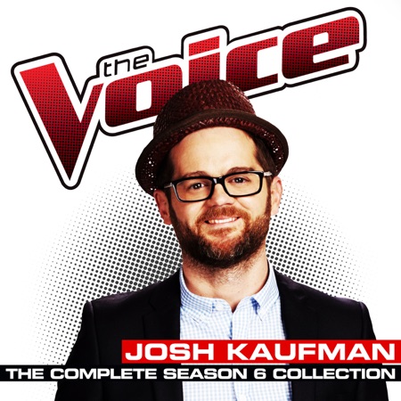 Josh Kaufman artwork