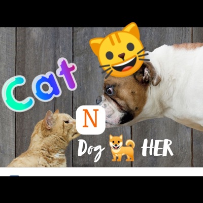 Cat n Dog Her - Single
