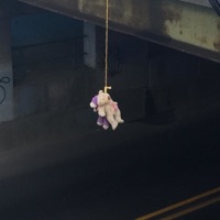 Serotonin - Single - lil XipZ