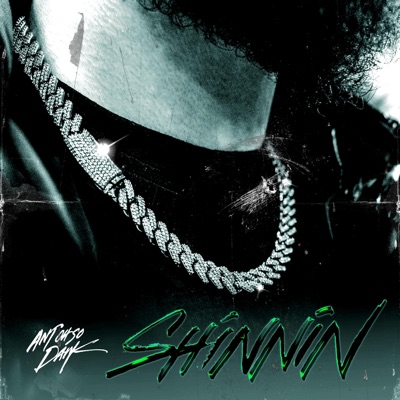 Shinnin - Single
