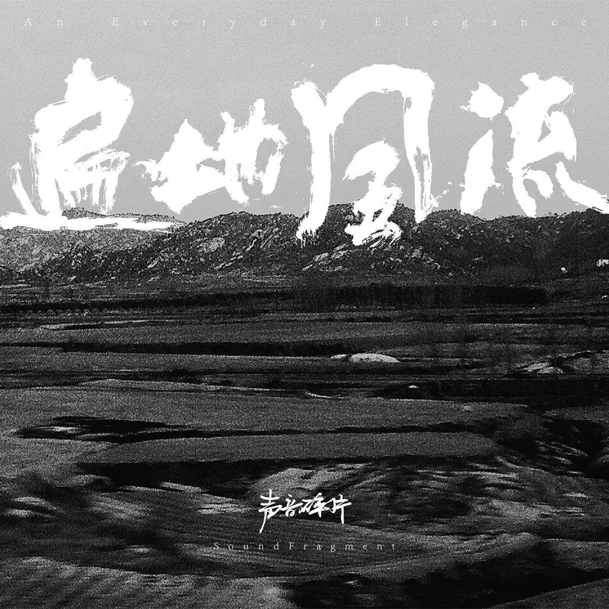 声音碎片 - 遍地风流 (2020) [iTunes Plus AAC M4A]-新房子