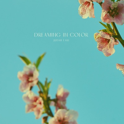 Dreaming in Color - Single