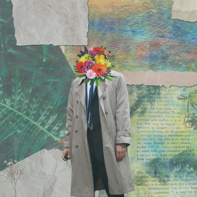 Bulletproof Raincoats - Single