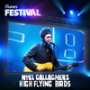 iTunes Festival: London 2012 - EP - Noel Gallagher's High Flying Birds