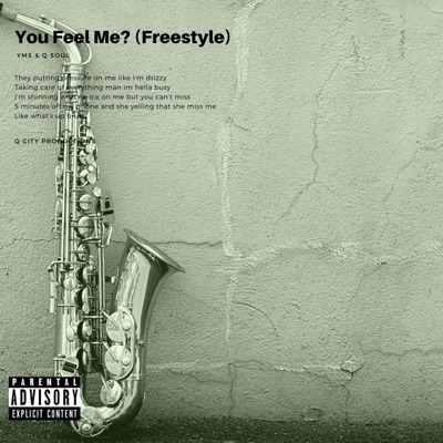 You Feel Me? (Freestyle) [feat. Q-Soul] - Single