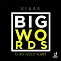 Big Words (Chris Gold Remix)