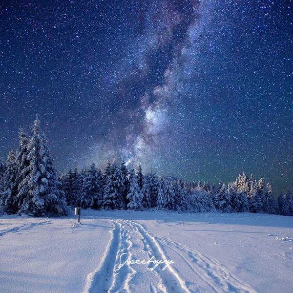 Snowy Stars in 2020