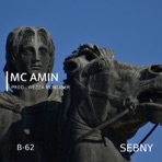 Sebny - Single