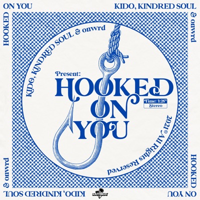 Hooked on You - Single