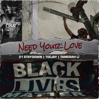 Need Your Love (feat. TeeJay & Tamerah Li) - Single