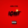 Ignit (feat. Markdadropout) - Single