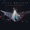 Alive - Kim Walker-Smith w