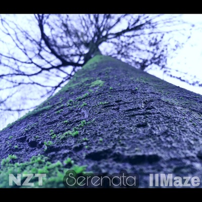 Serenata (feat. NZT) - Single