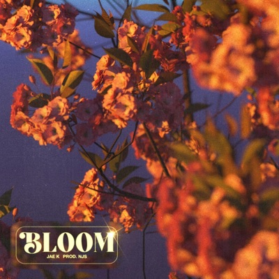 Bloom - Single