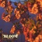 Bloom - Jae K lyrics