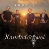 Sokoly - Kandráčovci