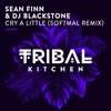 Sean Finn - Cry a Little (Softmal Remix)