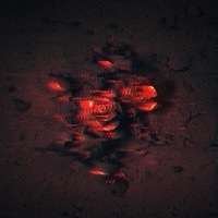 Decay - Single - Wxldcxrd