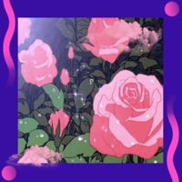 End of Summer - EP - Menino Nei