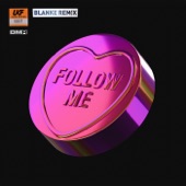 Follow Me (Blanke Remix) artwork