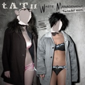 Waste Management (Transcendent Version) - Single artwork