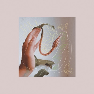 Desertos Internos - Single