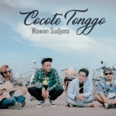 Cocote Tonggo artwork