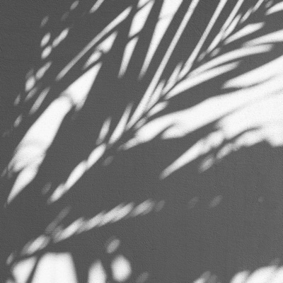 In Your Shadow - Single