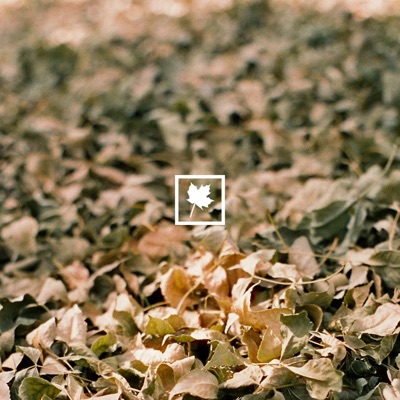 It'll Be (OK) - Single