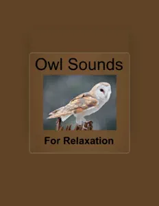 Owl Sounds Recordingsを聴いたり、ミュージックビデオを鑑賞したり、経歴やツアー日程などを確認したりしましょう！