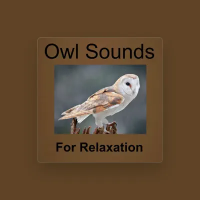 Listen to Owl Sounds Recordings, watch music videos, read bio, see tour dates & more!