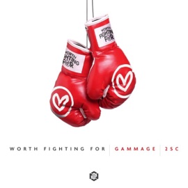 Worth Fighting For Gammage