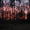 Gloaming Song - Single