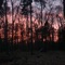 Gloaming Song - Lara Louise lyrics