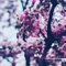 Dandelion Bouquet - DJ Nate Geezie lyrics
