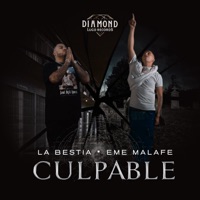 Culpable - Single