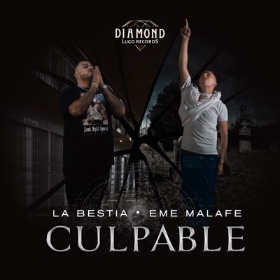 Culpable - Single