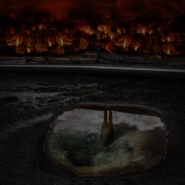 M.D.M.A II (feat. nllb) Delysid