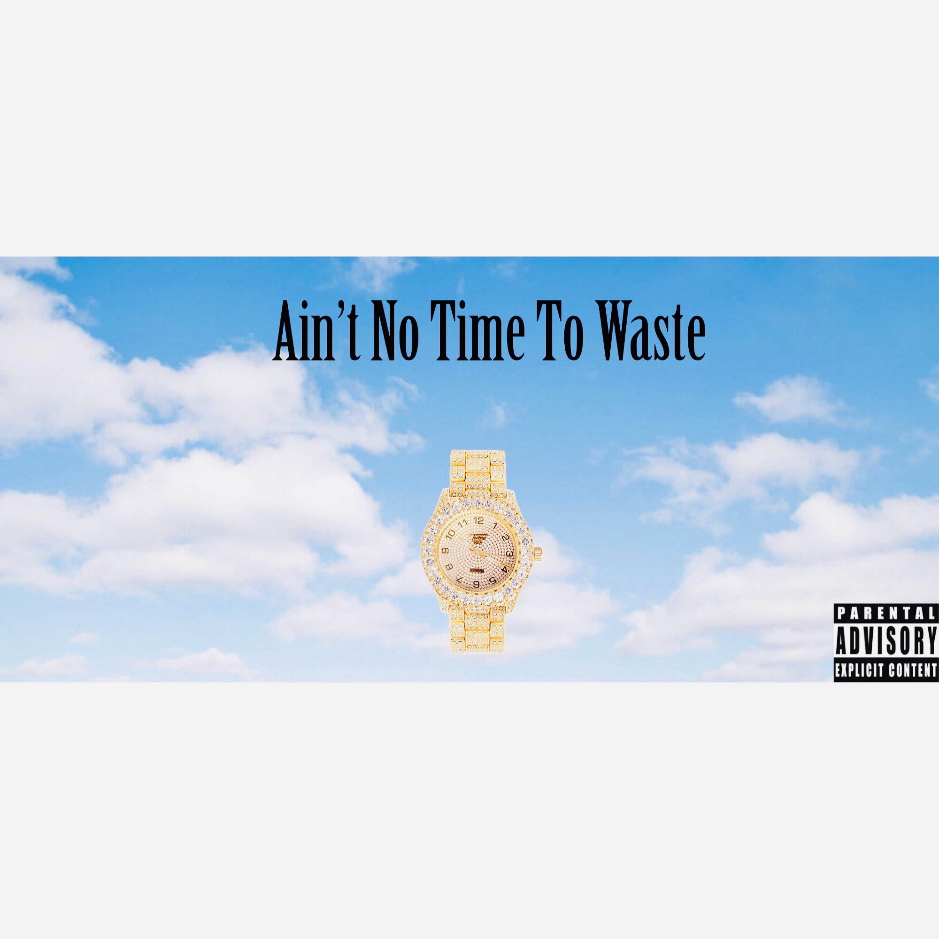 Ain't No Time To Waste - Single