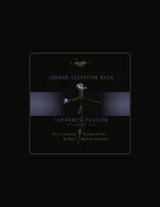 Ascolta Wunderkammer, guarda video musicali, leggi la biografia, vedi le date del tour & altro!