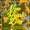 Chris Lujan feat. Andre Cruz - Electric Butter