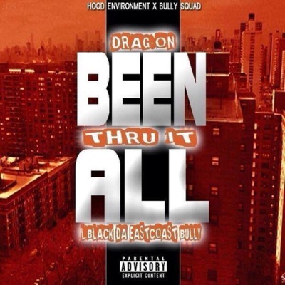 Been Thru It All (feat. Drag-On) - Single