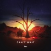 Can't Wait - Single