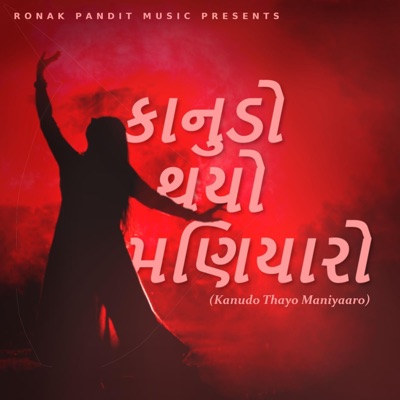 Kanudo Thayo Maniyaro (Garba Mashup) - Single
