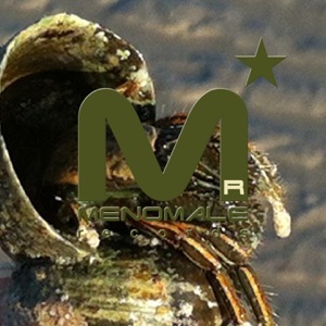 Menostar, Vol. 92 - Single