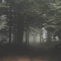 Do It Again - Single - Settapik